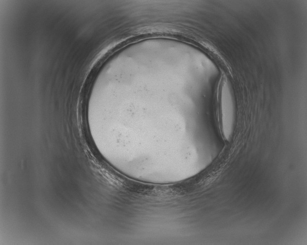 X0000060260983200511241423