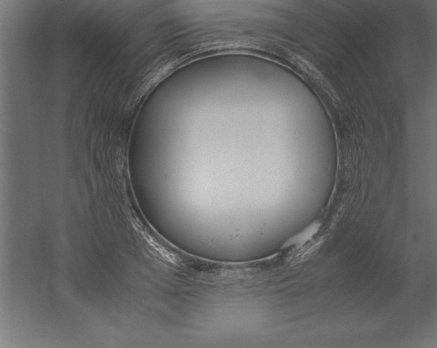 X0000060260985200511241423