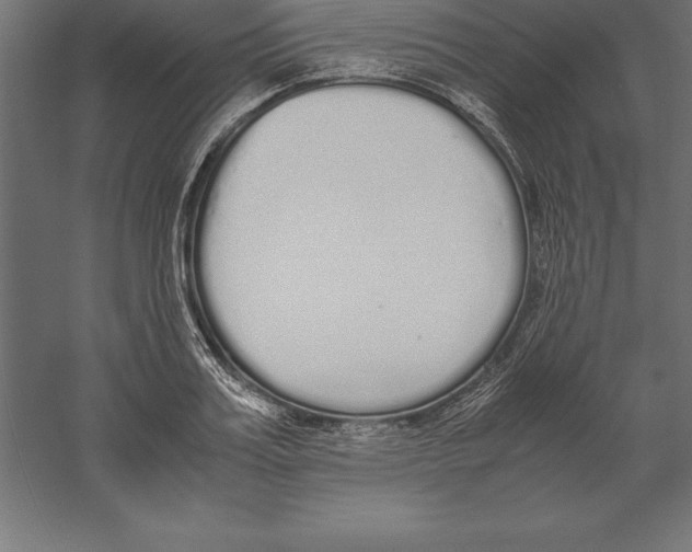 X0000060260987200511241423