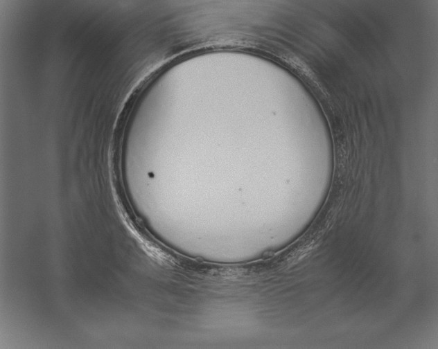 X0000060260991200511241423