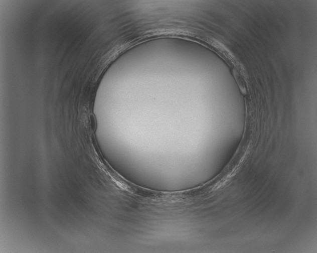 X0000060260993200511241423