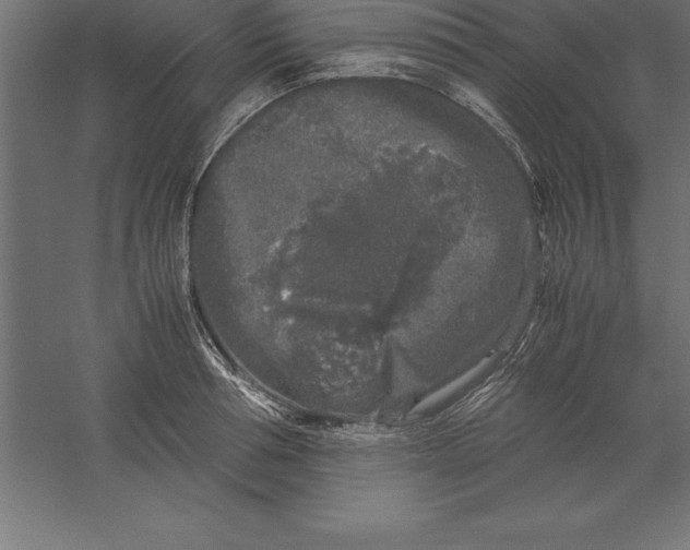 X0000060260994200511241423