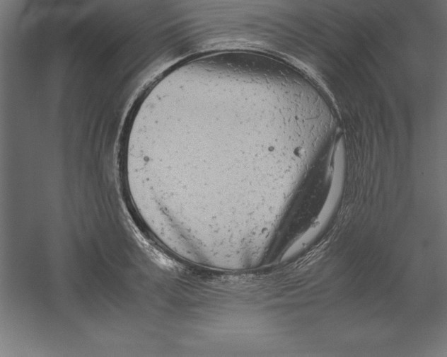 X0000060260995200511241422