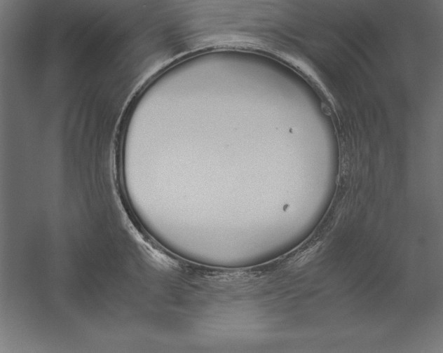 X0000060260999200511241422