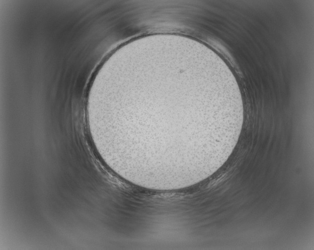 X0000060261000200511241422