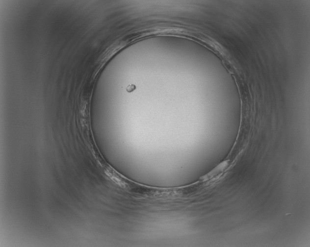 X0000060261001200511241422