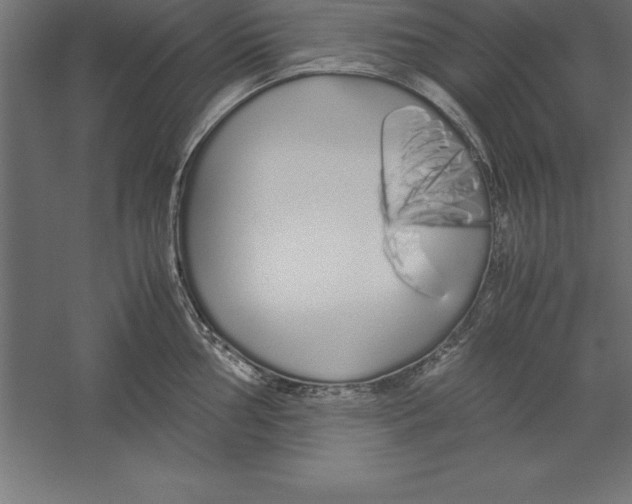 X0000060261002200511241422