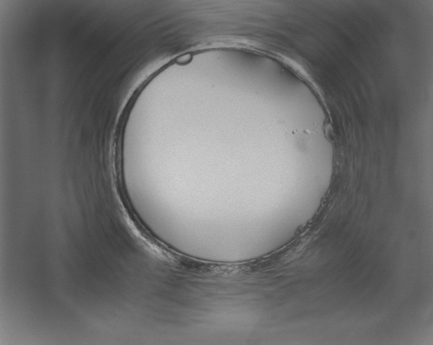 X0000060261003200511241422