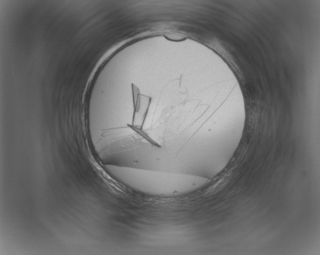 X0000060261004200511241422