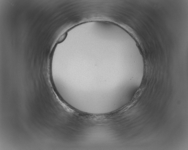 X0000060261006200511241422