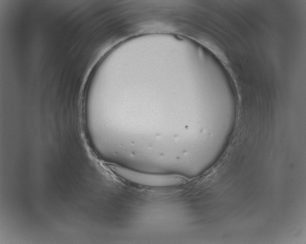 X0000060261008200511241422