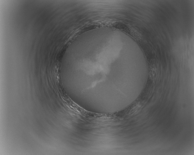 X0000060261010200511241421