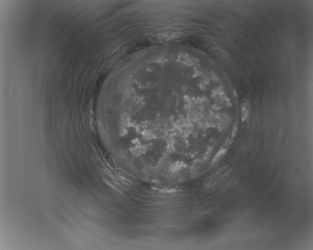 X0000060261011200511241421