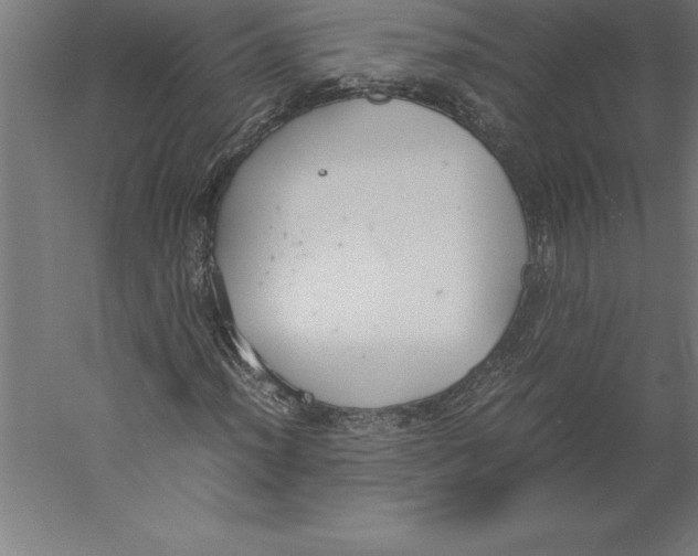 X0000060261012200511241421