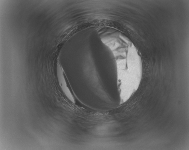 X0000060261013200511241422