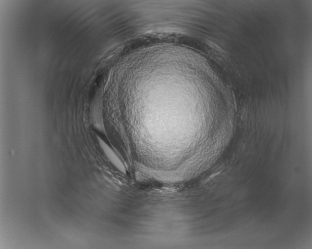 X0000060261014200511241422