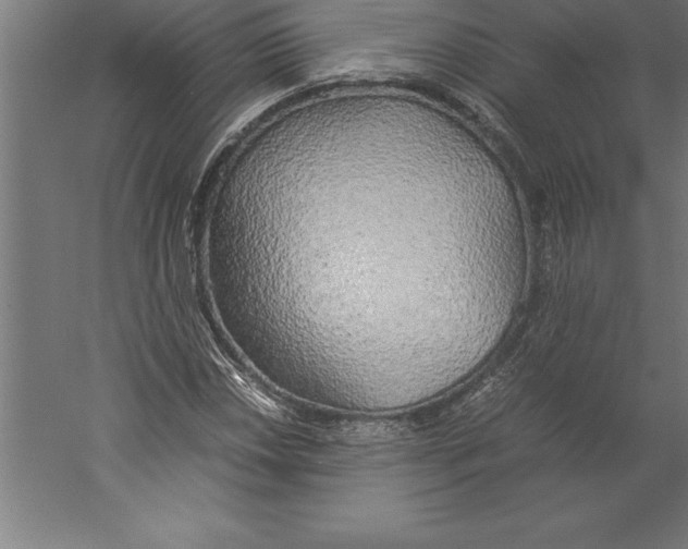 X0000060261018200511241422