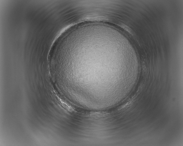 X0000060261022200511241422