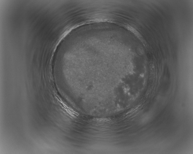 X0000060261023200511241422