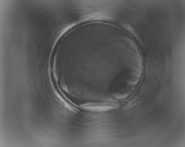 X0000060261024200511241422