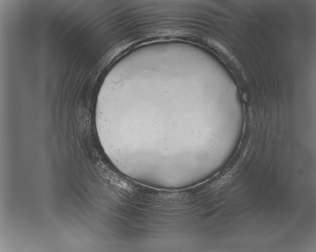 X0000060261025200511241422