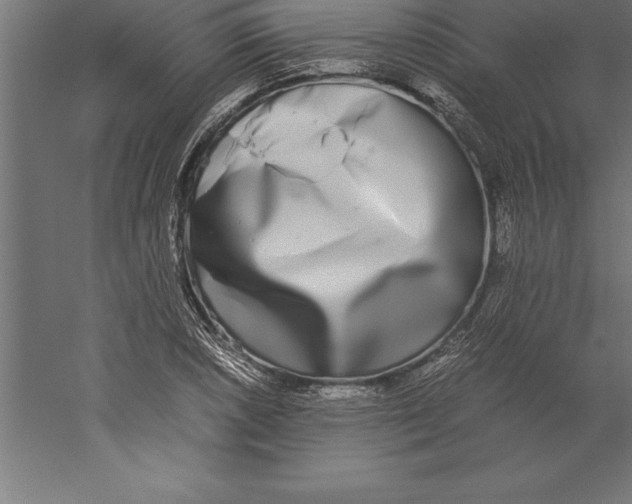 X0000060261026200511241422