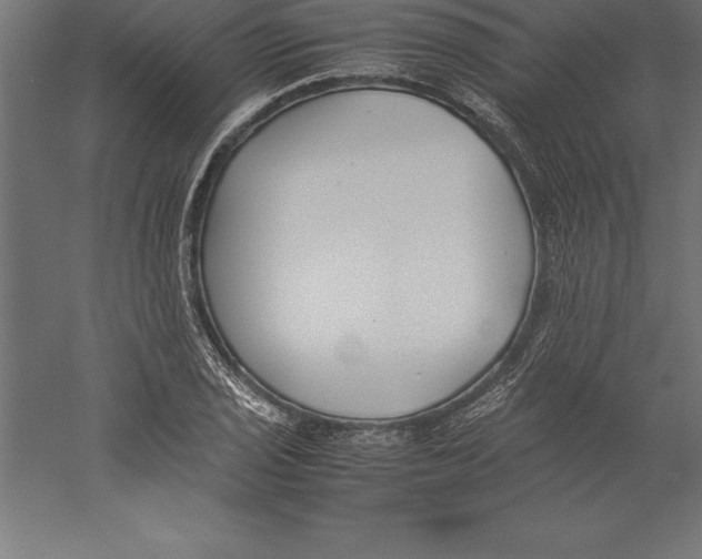 X0000060261029200511241422