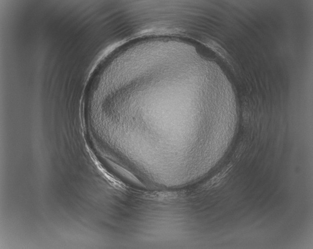 X0000060261030200511241422