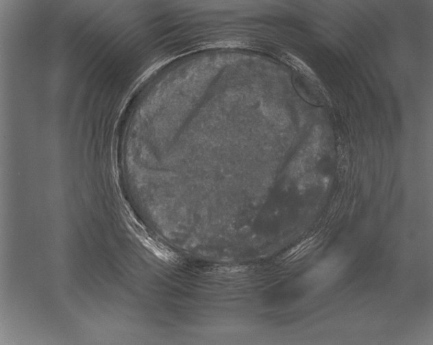 X0000060261035200511241422