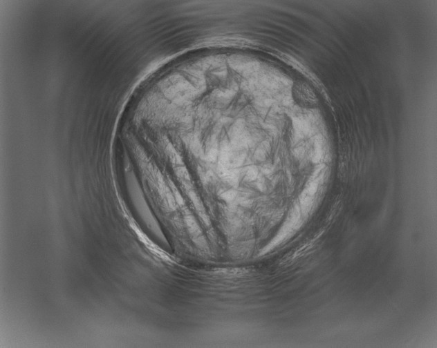 X0000060261037200511241422