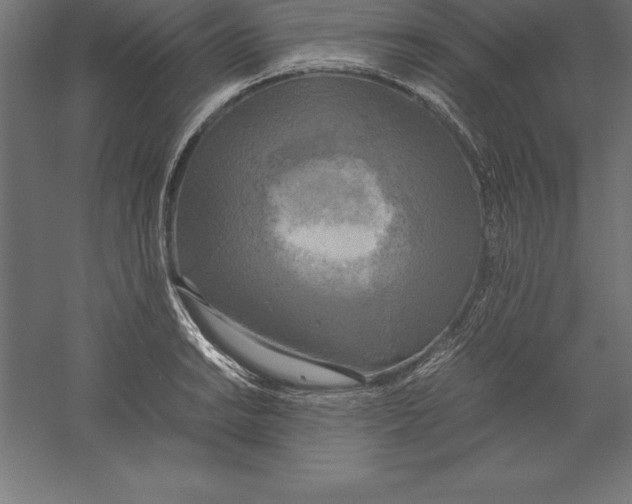 X0000060261038200511241422