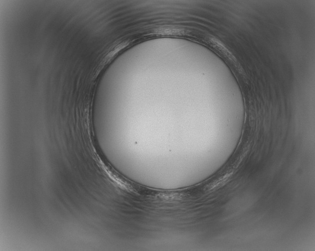 X0000060261041200511241422