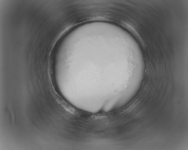 X0000060261043200511241422