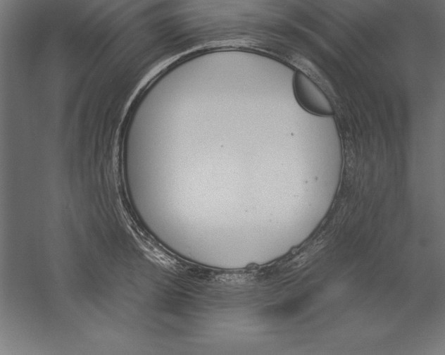 X0000060261044200511241422