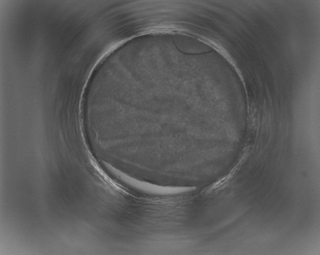 X0000060261045200511241422