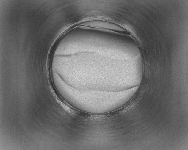 X0000060261046200511241422