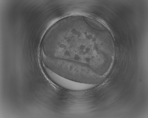 X0000060261048200511241422