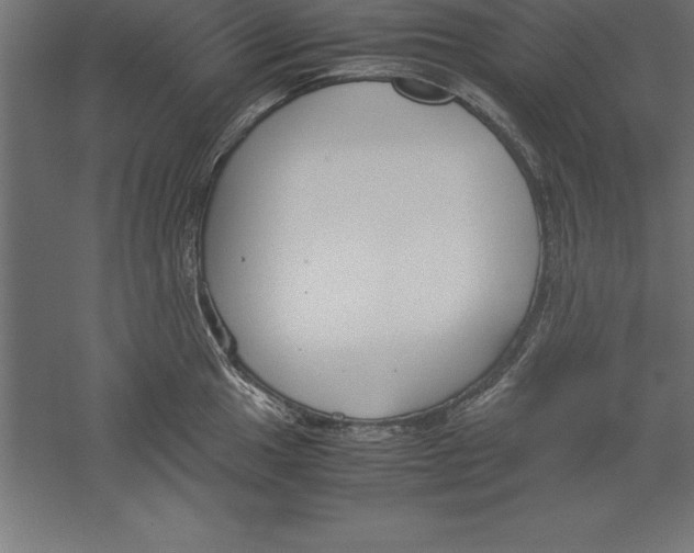 X0000060261049200511241422