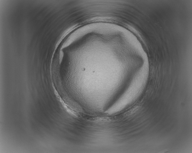 X0000060261050200511241422