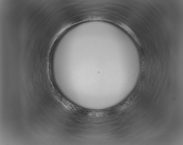 X0000060261051200511241422