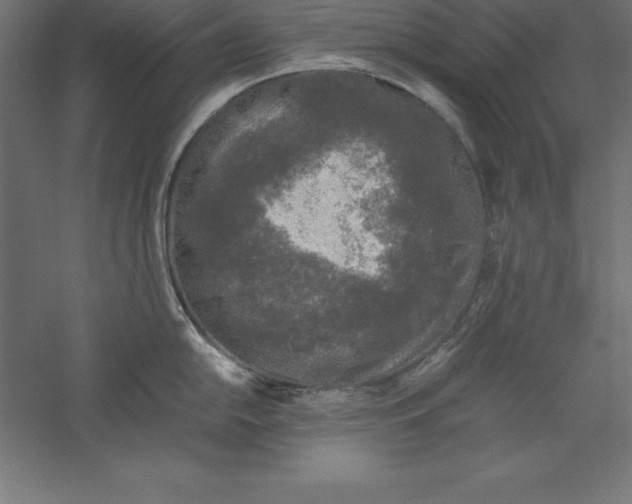 X0000060261054200511241422