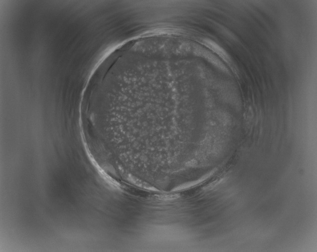 X0000060261055200511241422