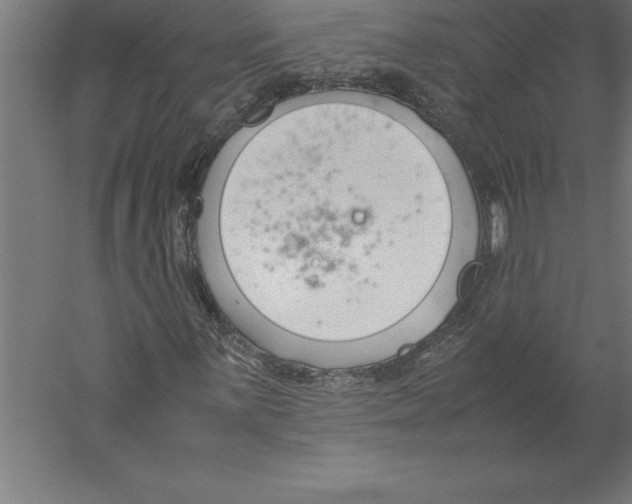 X0000060261059200511241421