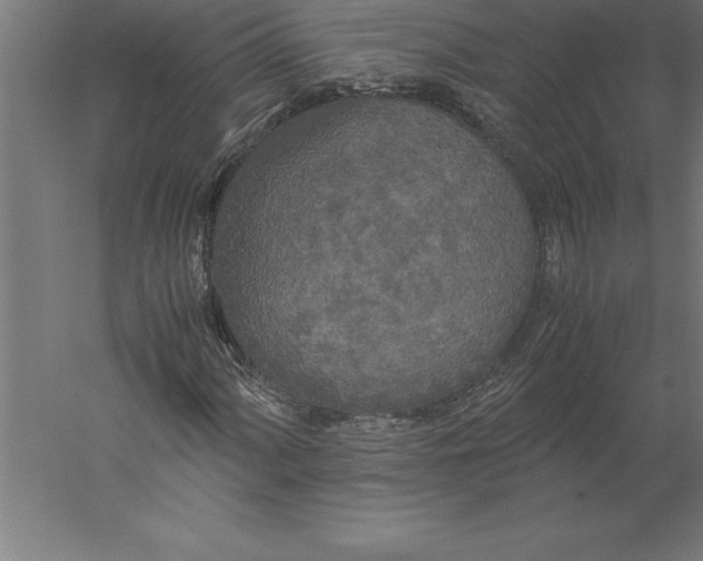 X0000060261060200511241421