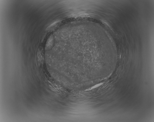 X0000060261063200511241421