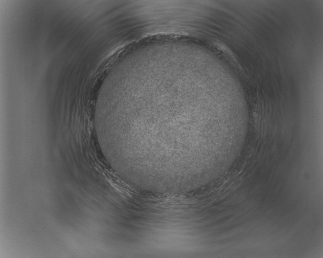 X0000060261064200511241421