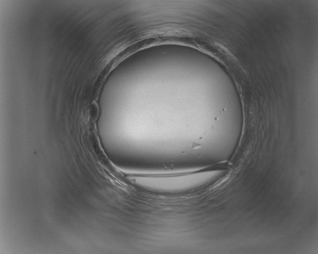 X0000060261065200511241421