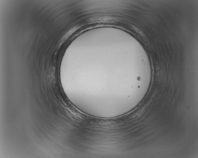 X0000060261066200511241421