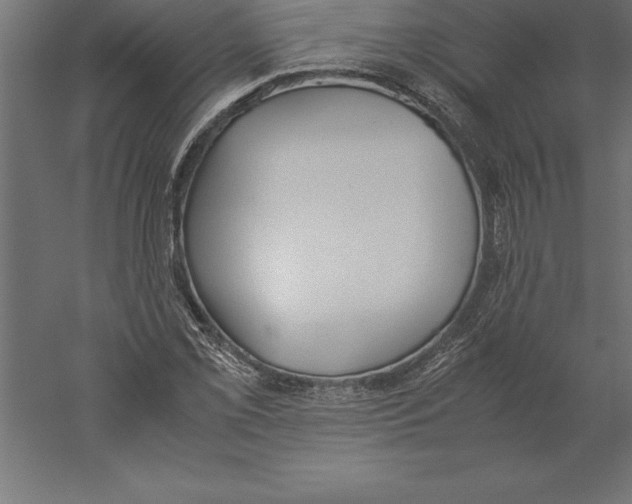 X0000060261069200511241421