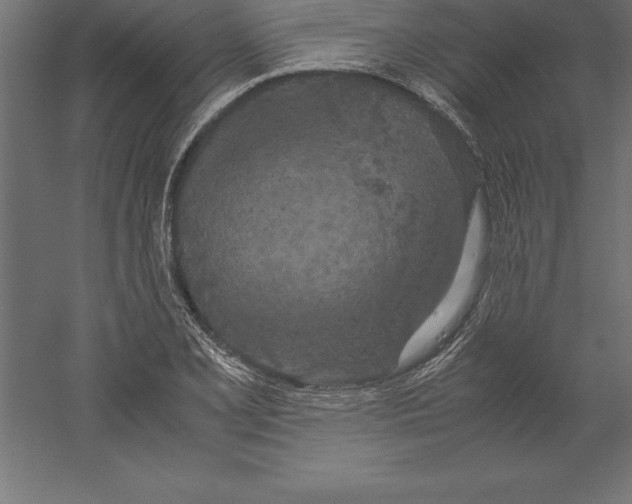 X0000060261077200511241421